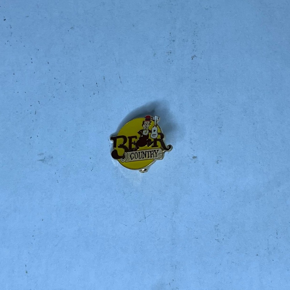 Disney Bear Country pin